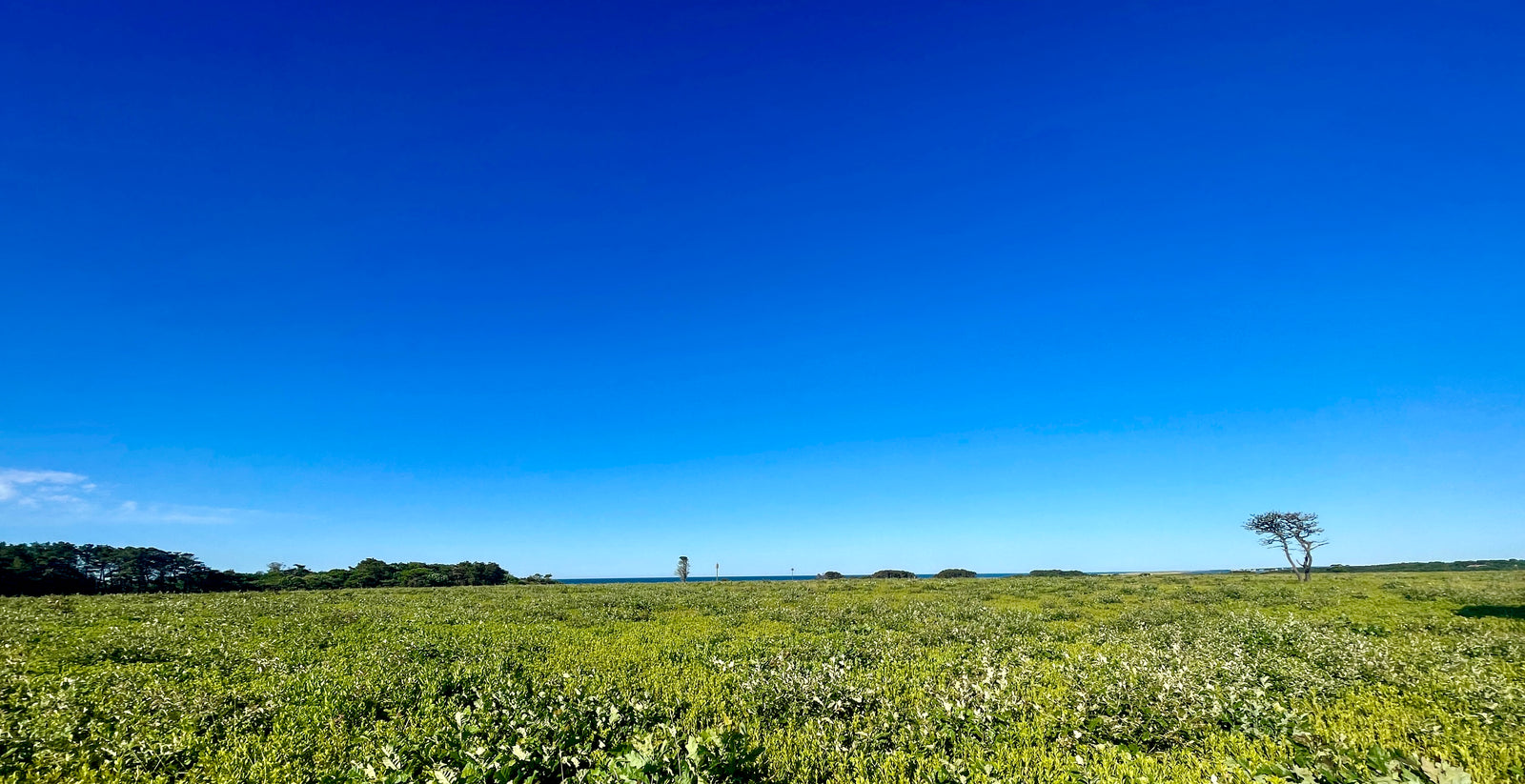 Wasque: The Wild and Remote End of Chappaquiddick Island