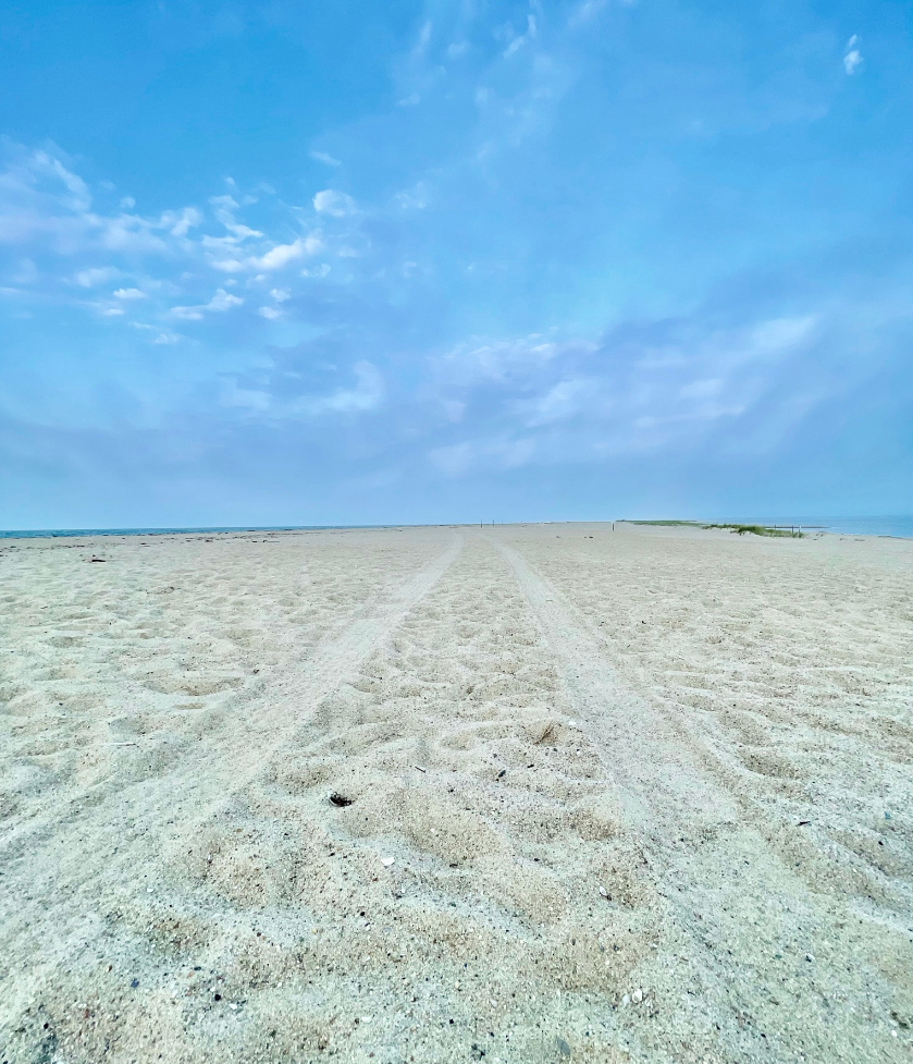 Hit the Beach, on Four Wheels